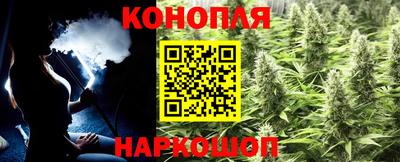 spice Моздок