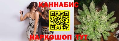 spice Моздок