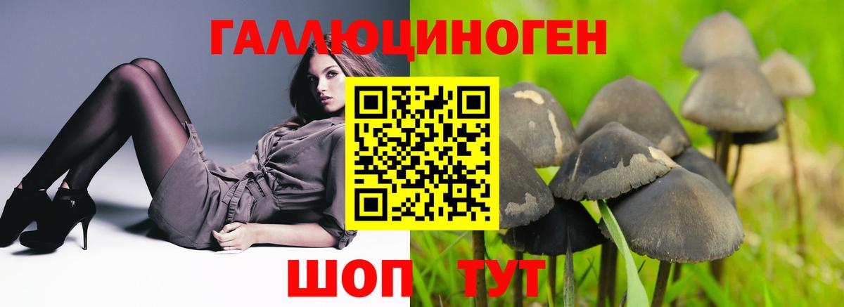 Унеча  Псилоцибиновые грибы Cubensis  Вход с VPN 